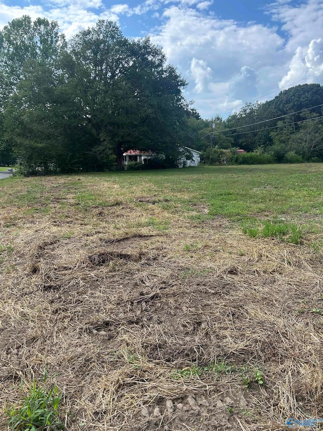 741 Haynes Rd NE, Arab, AL 35016 - photo 3