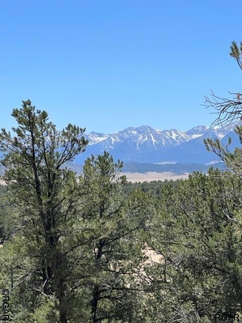 Sangre de Cristo Mountain Views
