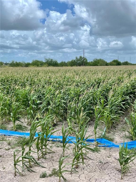 TBD N Gonzalez Rd, Progreso, TX 78579 - photo 2