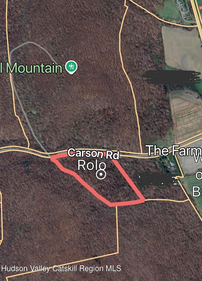 0 Carson Rd, Ancram, NY 12502 - photo 7