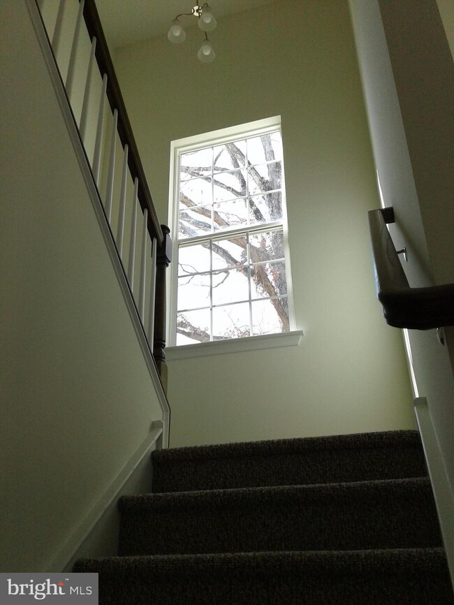 133 Cooper Folly Rd, Atco, NJ 08004 - photo 5