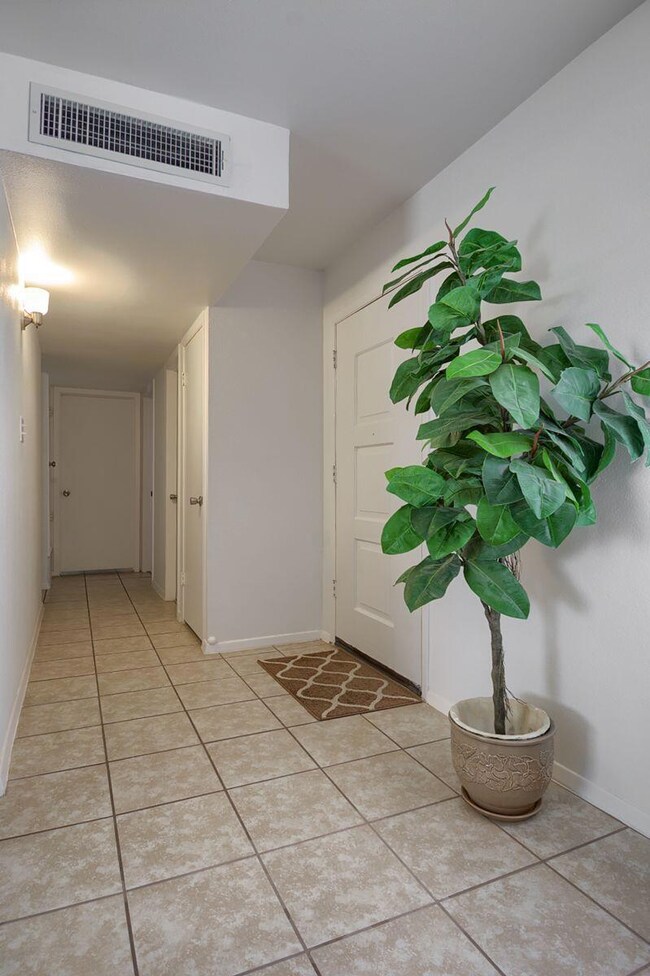 1704 Opossum Cir, Horizon City, TX 79928 - photo 6