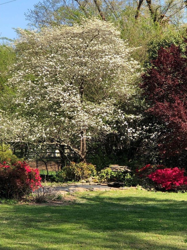 Color all year round.