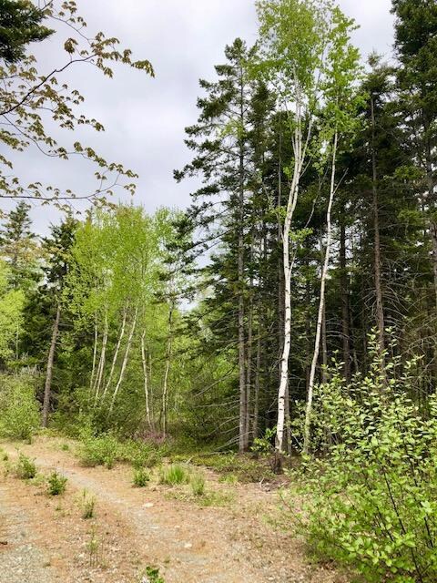 0 Route 189 unit 1441175, Whiting, ME 04652 - photo 5