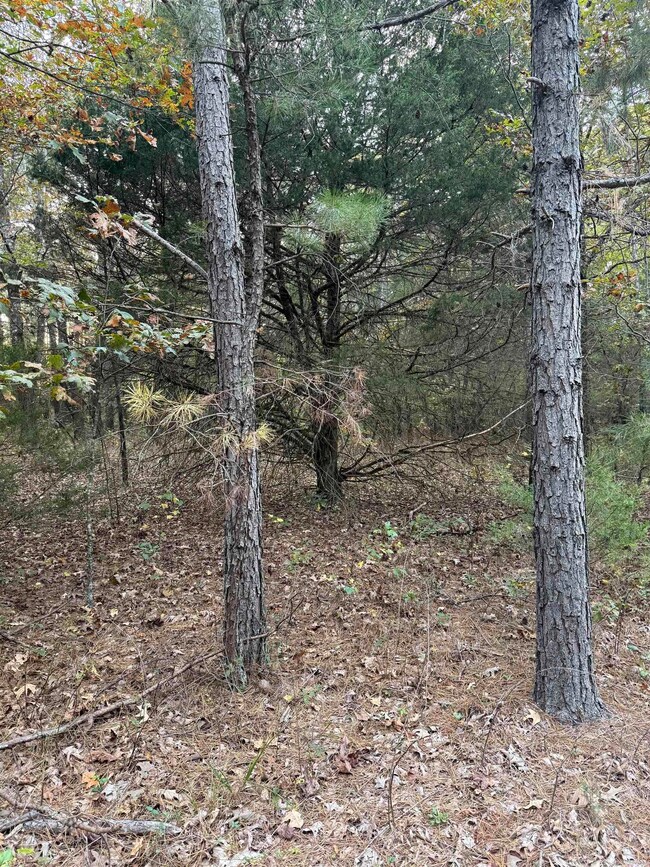 141 Duncan Rd, Poughkeepsie, AR 72569 - photo 5