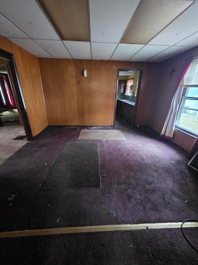 113 W Walnut St, Albion, MI 49224 - photo 6