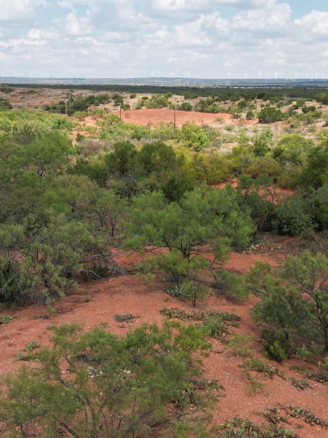 Tbd Fm 1086, Winters, TX 79567 - photo 6