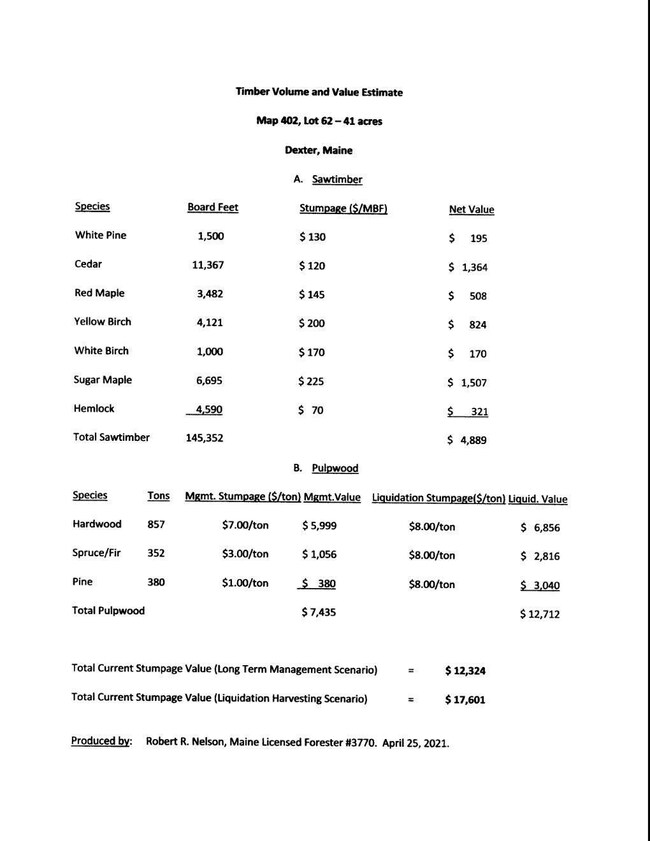 62 Charleston Rd, Dexter, ME 04930 - photo 3