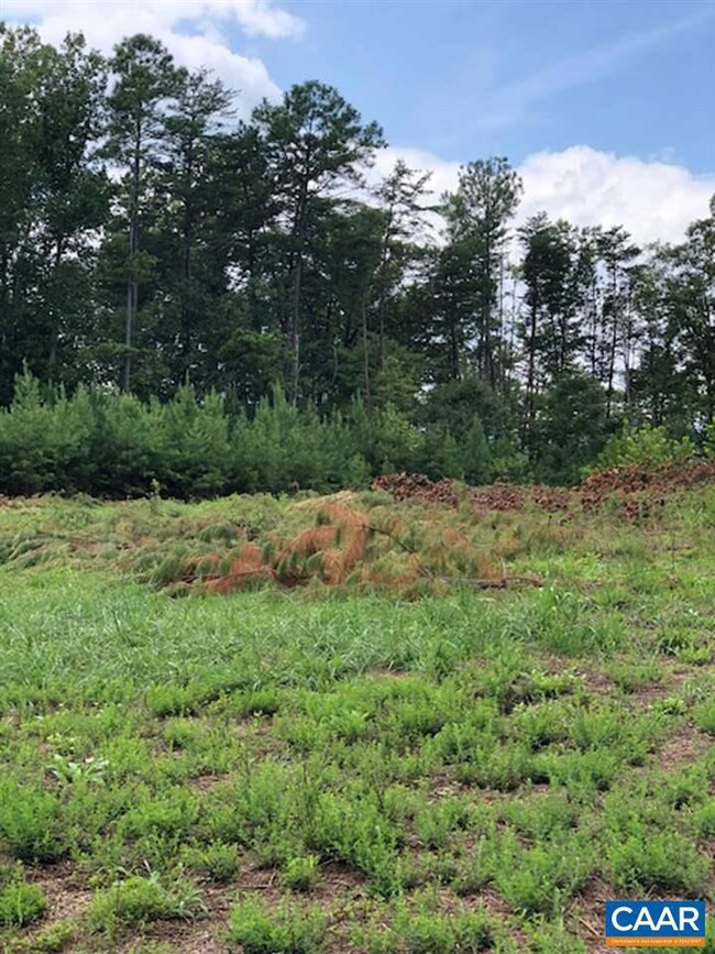 0 Esmont Rd unit 582724, Esmont, VA 22937 - photo 4