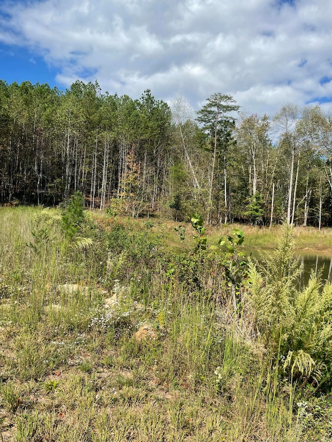 3685 Crockett Pointe, Jasper, TN 37347 - photo 3