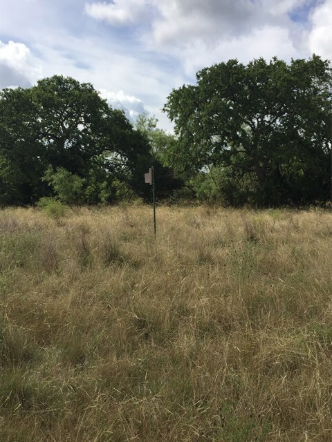 1547 Funf Kinder Rd unit 16, Fredericksburg, TX 78624 - photo 3