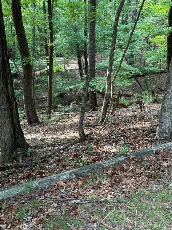 1225 Oglethorpe Rd, Jasper, GA 30143 - photo 4