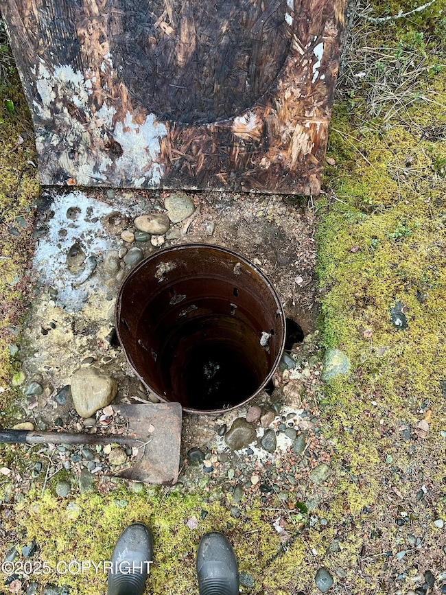 L11 B4 Jack Wade Bill Seaton Rd, Tok, AK 99780 - photo 4