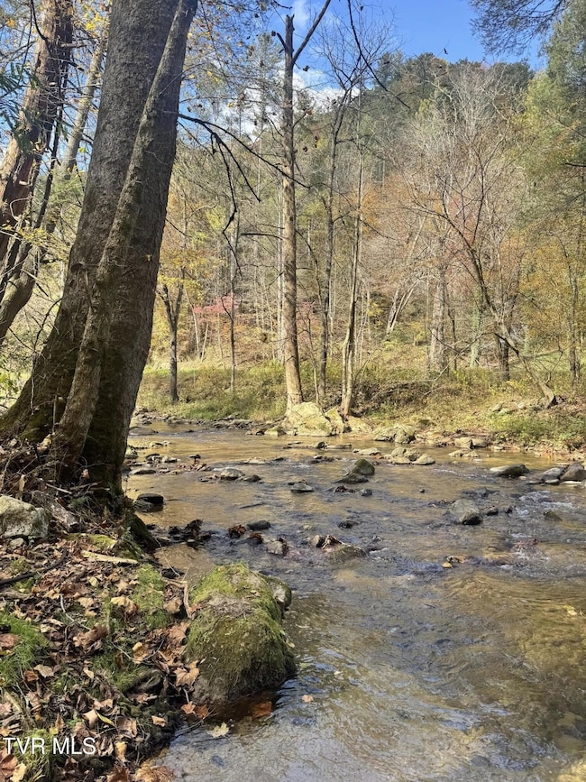 150 Little Branch Rd, Flag Pond, TN 37657 - photo 2