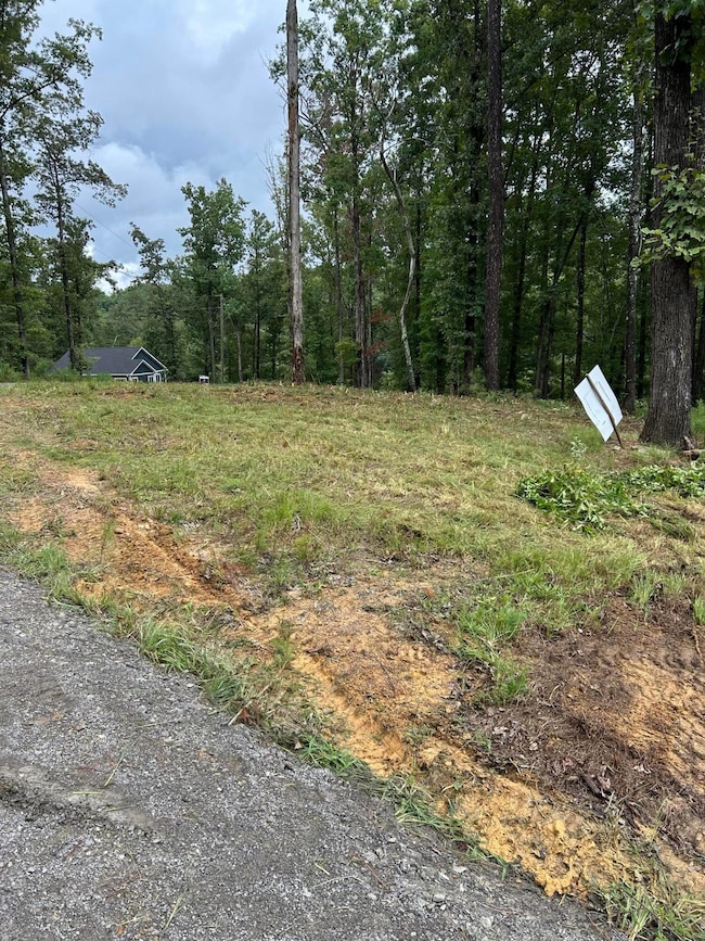 0 Shoreside Dr, Double Springs, AL 35553 - photo 4