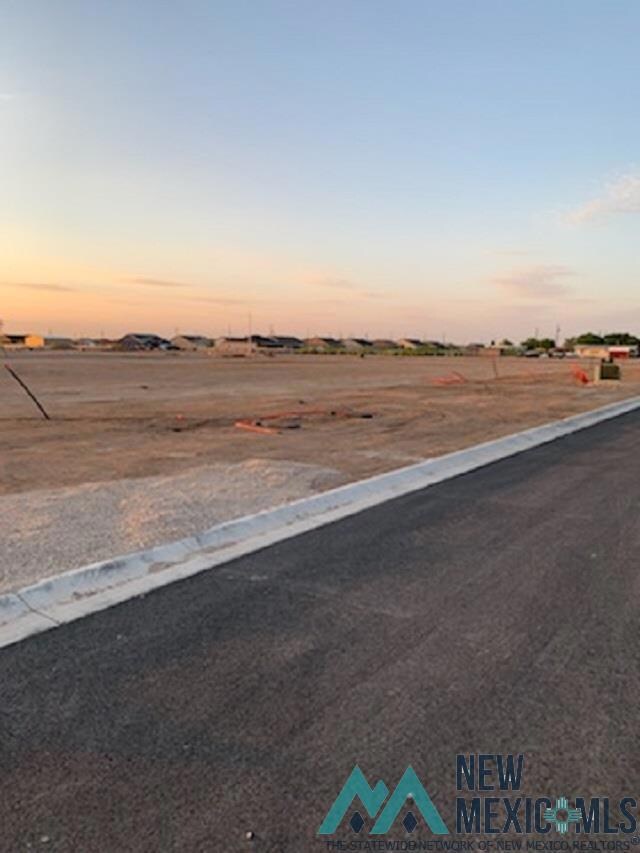 803 Pat Garrett Ct, Carlsbad, NM 88220 - photo 3