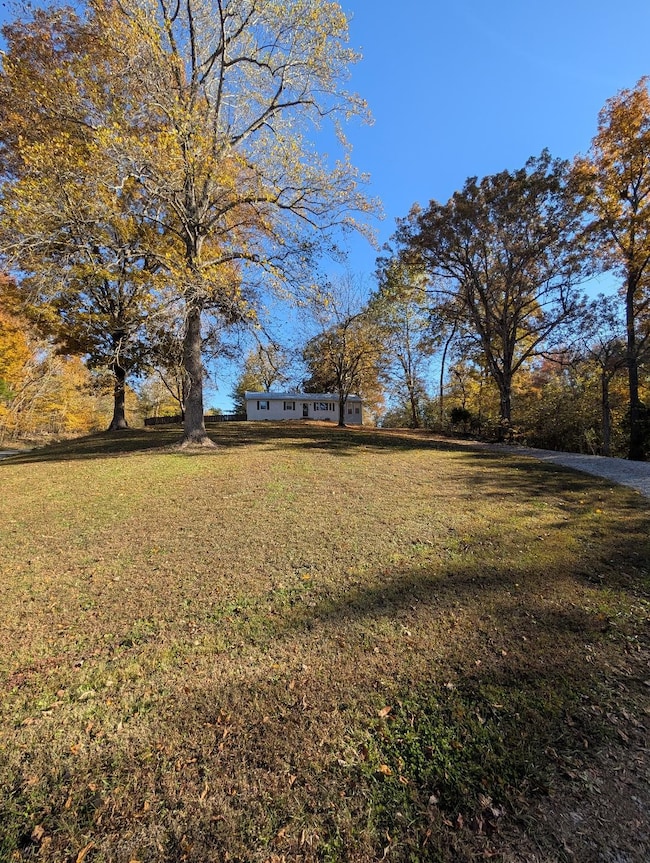 11774 Hopkinsville Rd, Princeton, KY 42445 - photo 3