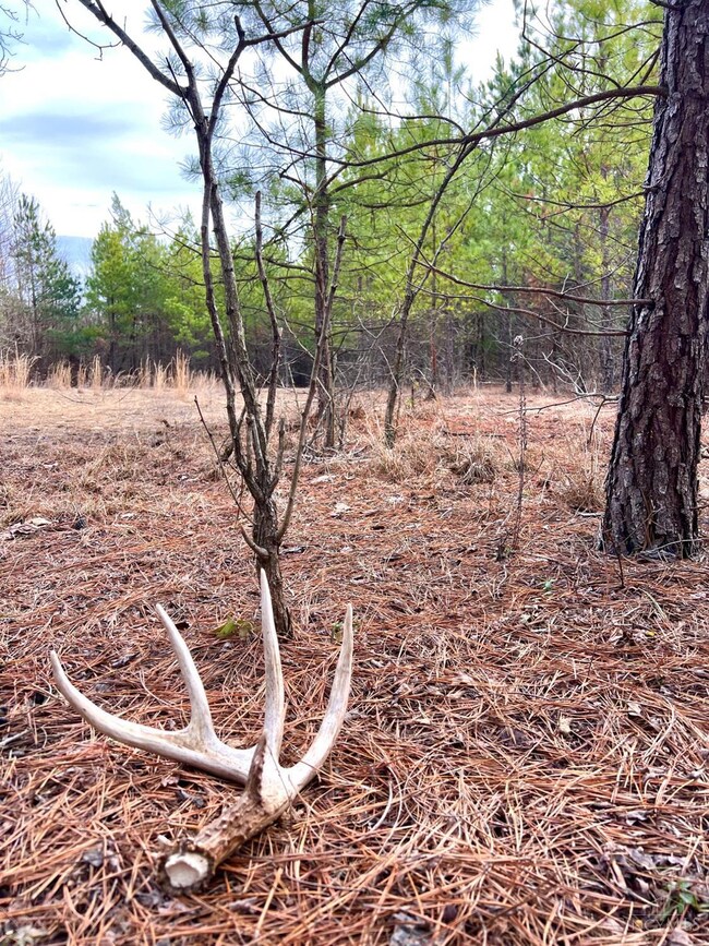 0 Mcguire Rd unit 1855109, Chillicothe, OH 45601 - photo 5