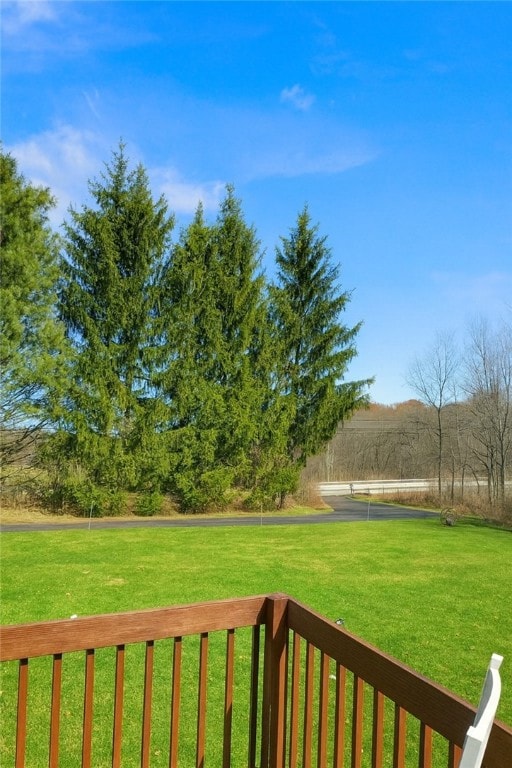 9555 U S Route 20a, Hemlock, NY 14466 - photo 4