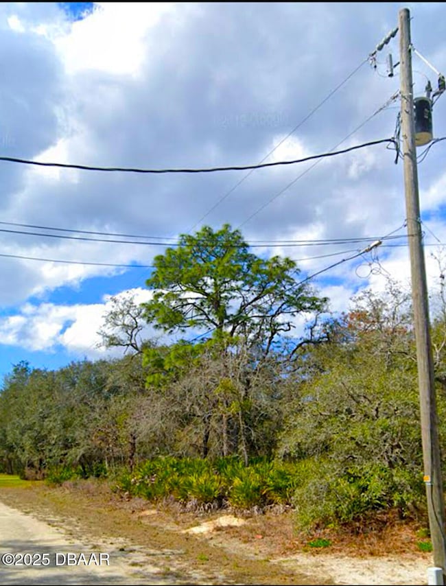 WWachee1