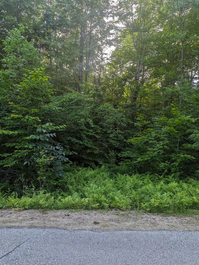 Lot 11-1 Drew Dr, Middleton, NH 03887 - photo 3