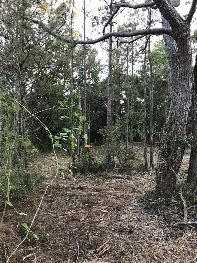 Interior Lot View
