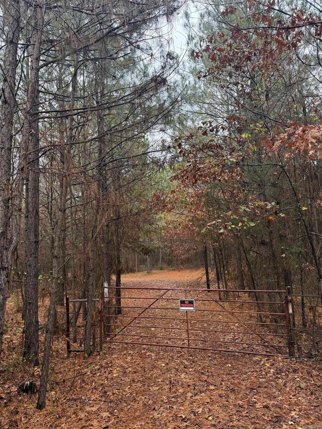 TBD Loan Oak Rd, Lockesburg, AR 71846 - photo 4