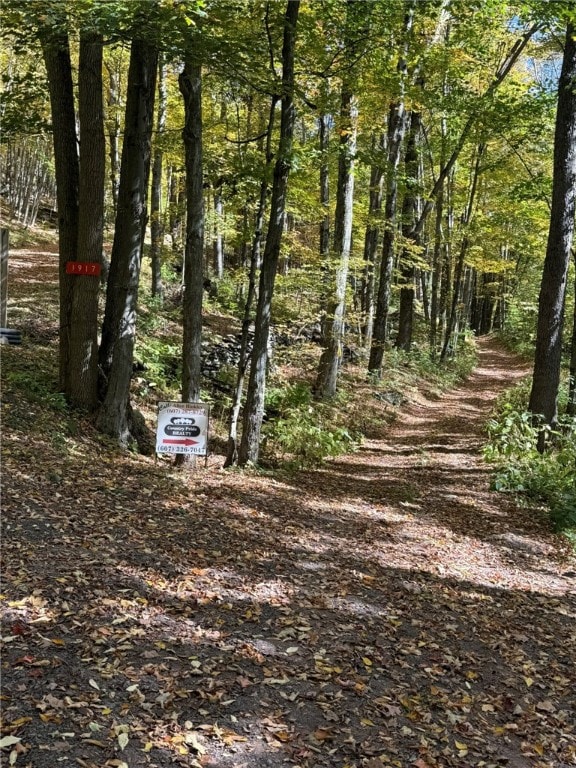 0 Roses Brook Rd unit R1650834, Stamford, NY 12167 - photo 6