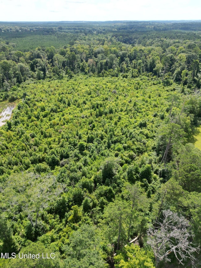 00 Johns Shiloh Rd, Brandon, MS 39042 - photo 3