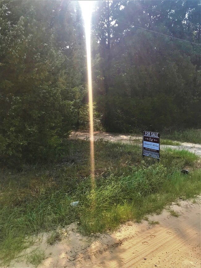 9201 Private Road 5204, Athens, TX 75751 - photo 5