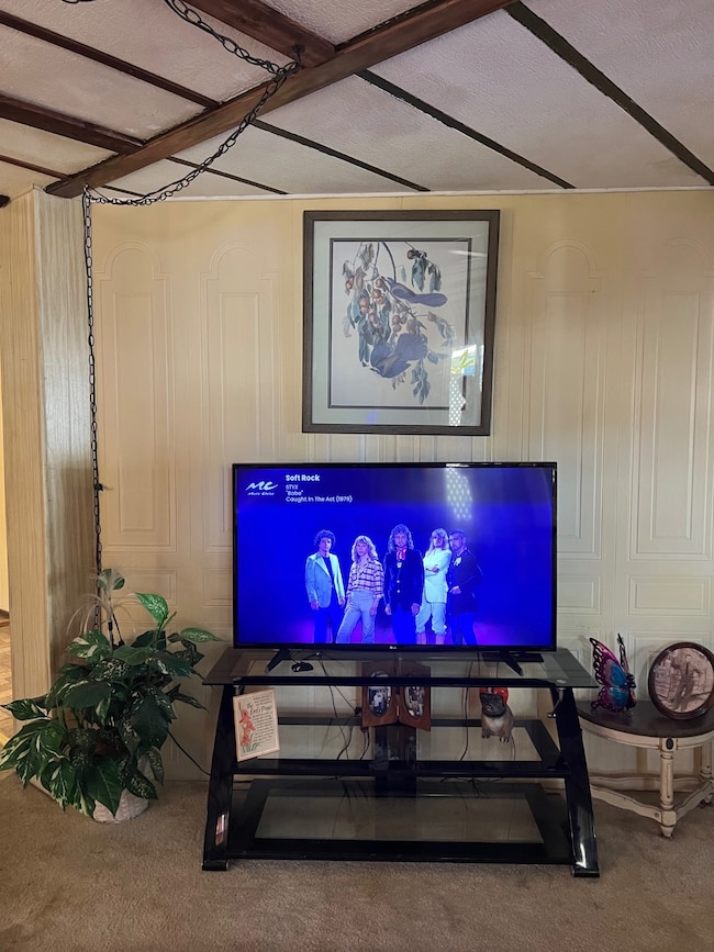 Living room TV wall