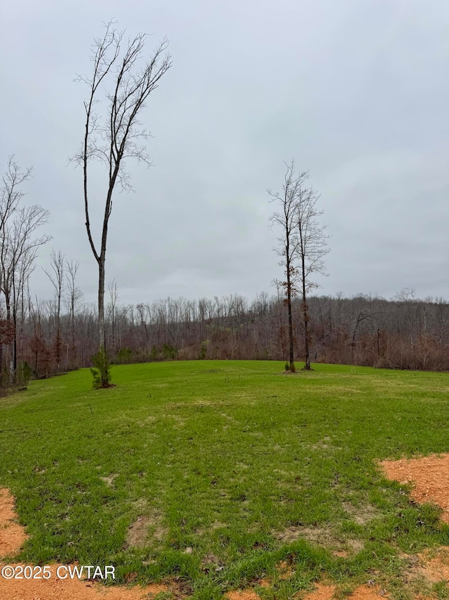7900 Brooksie Thompson Rd, Bath Springs, TN 38311 - photo 7