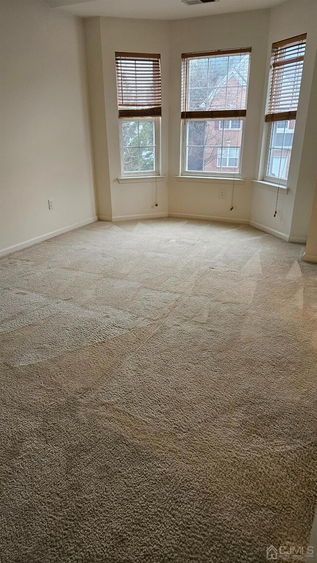 208 Alder Ct unit 208, New Brunswick, NJ 08901 - photo 2