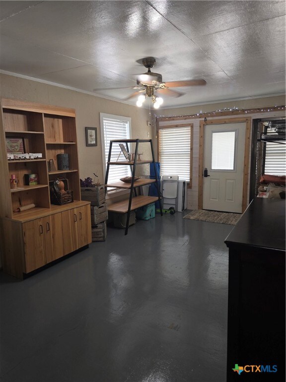 501 Green St, Poth, TX 78147 - photo 5