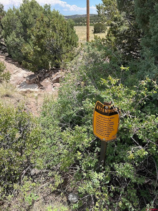 TBD Tbd, La Jara, CO 81140 - photo 5