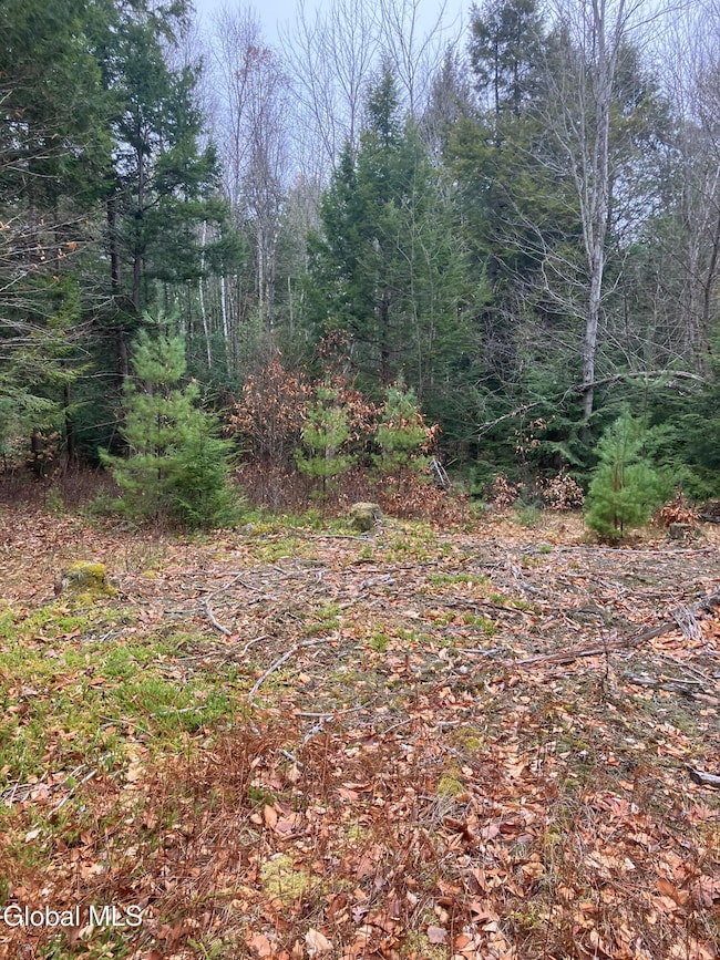 0 Scofield Rd unit 202530120, Lake Luzerne, NY 12846 - photo 6