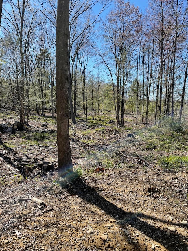 Primarily cleared lot