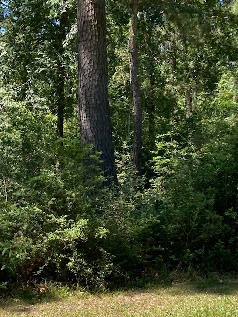 TBD Forest Trail, Hockley, TX 77447 - photo 7