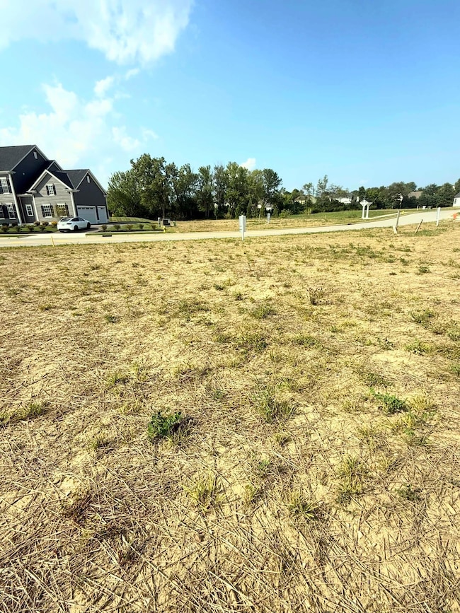 3186 Briarwood Ln, Lewis Center, OH 43035 - photo 3