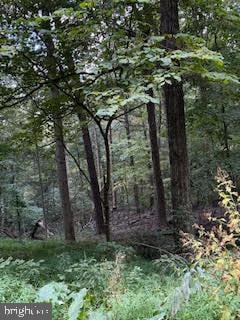 0 Cubby Hole Lane - Lot 25 unit WVMO2006624, Berkeley Springs, WV 25411 - photo 4