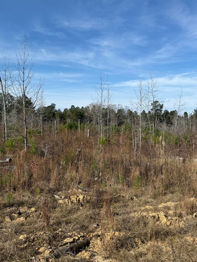 Roebuck Dr, Preston, MS 39354 - photo 6