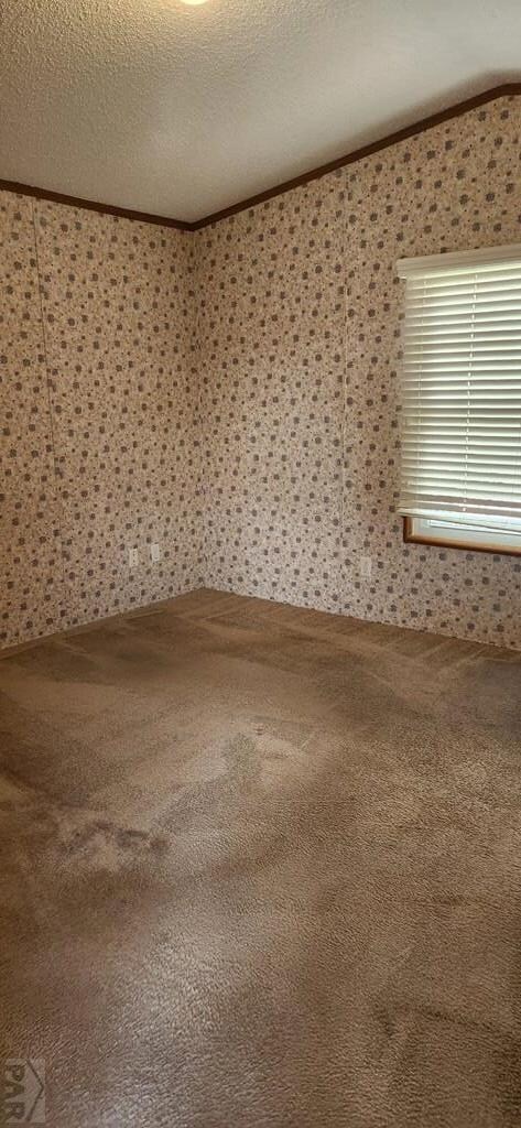 5000 Red Creek Springs Rd unit 118, Pueblo, CO 81005 - photo 7