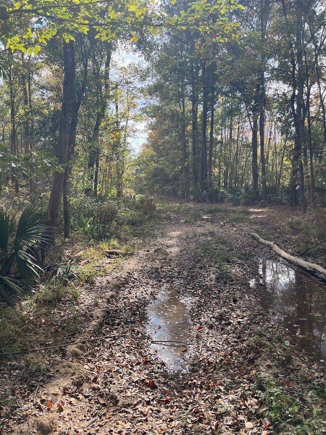 0 Dunn Rd unit LotWP001, Denham Springs, LA 70726 - photo 6