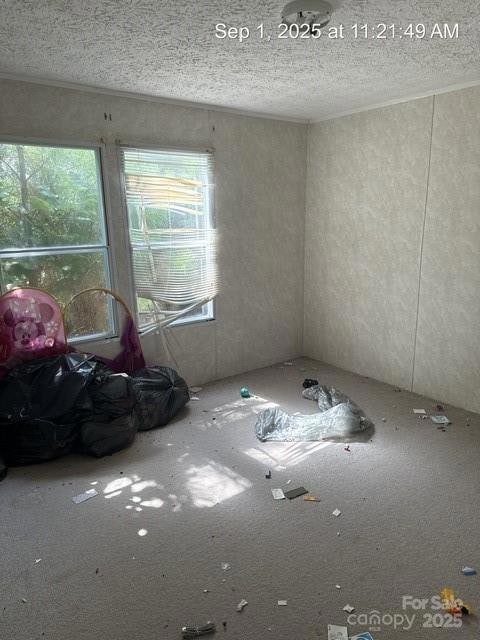 566 Plemmons Place, Marion, NC 28752 - photo 4