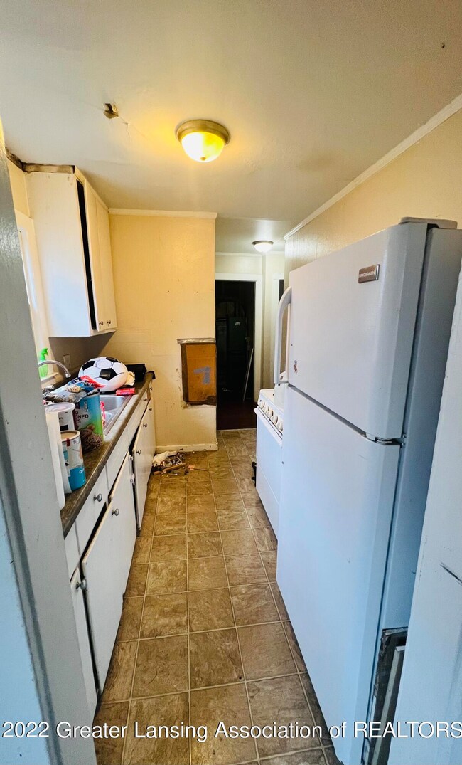 1120 Victor Ave, Lansing, MI 48910 - photo 6