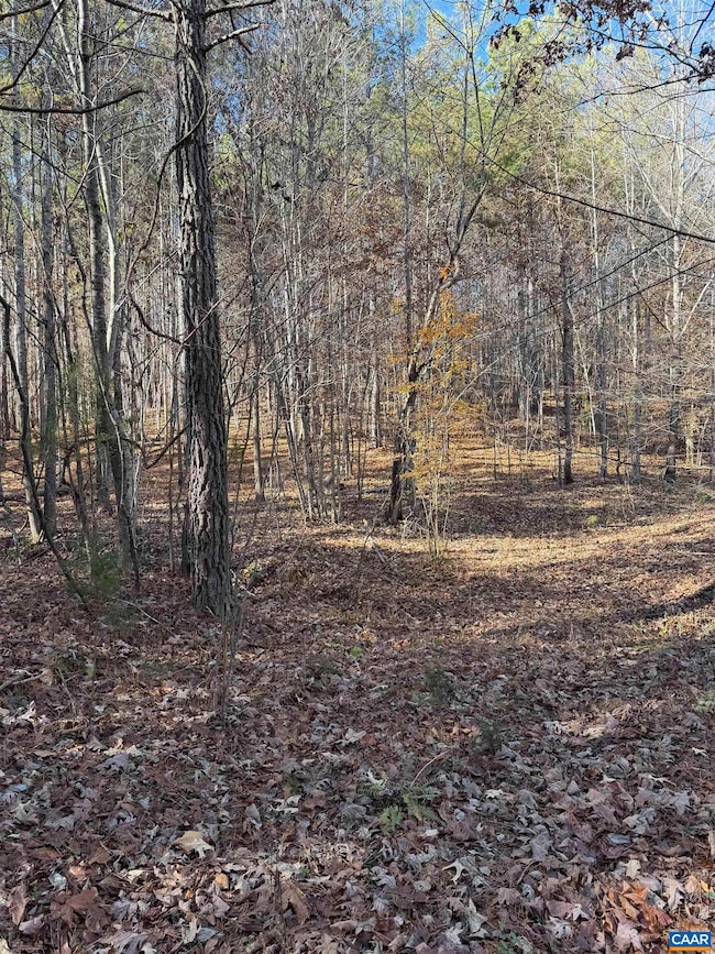 TBD Union Hill Dr, Wingina, VA 24599 - photo 7