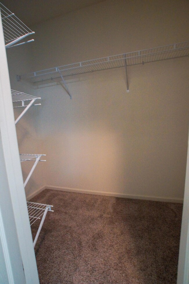 Photo #2