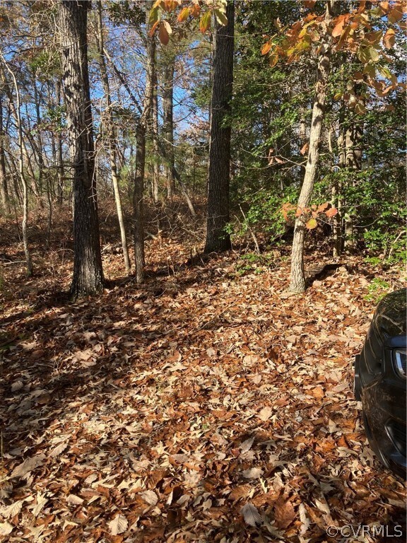 0 Dry Bridge Rd, Caroline, VA 22546 - photo 3