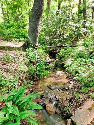 23 Gardenwood Ln, Asheville, NC 28803 - photo 3