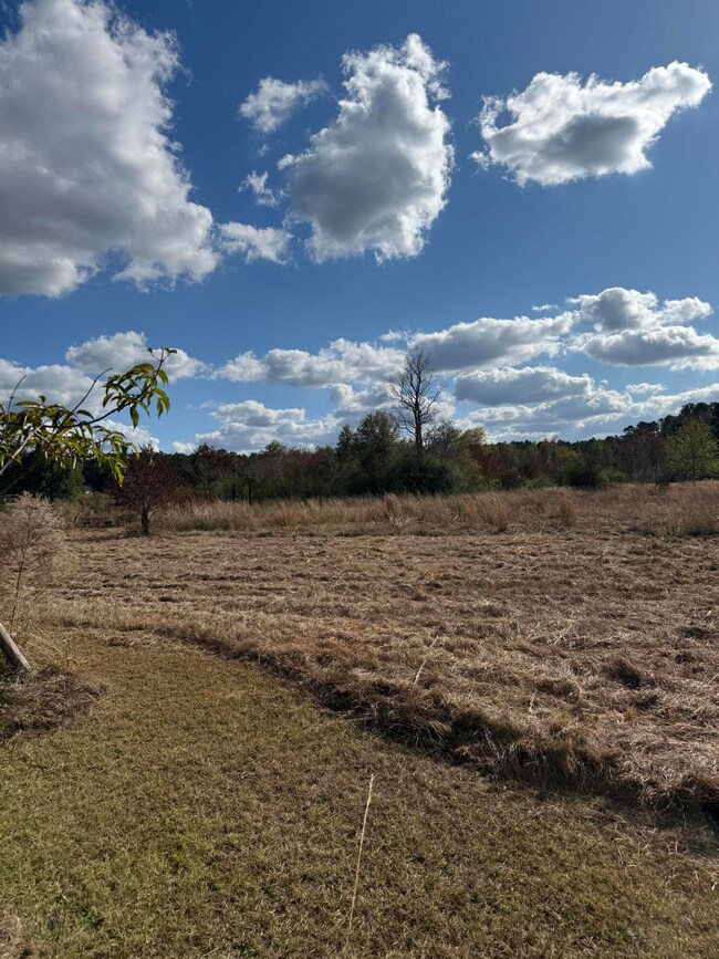 67 Tom Lewis Rd, Tylertown, MS 39667 - photo 7